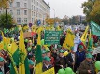 Manifestacja Działkowców (10 października)